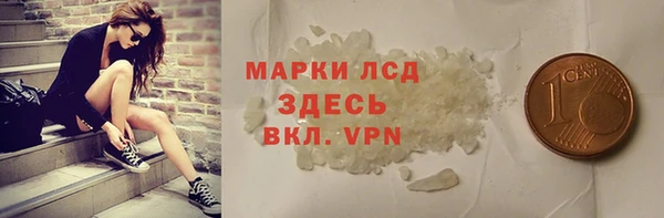 молекула духа Новозыбков