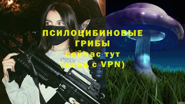марки nbome Новодвинск