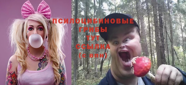 индика Ельня