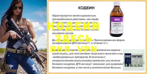 молекула духа Новозыбков