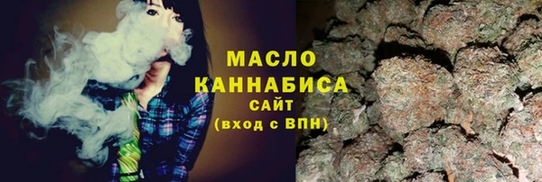 индика Ельня