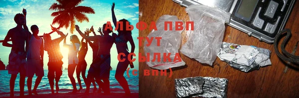 гашик Новокубанск
