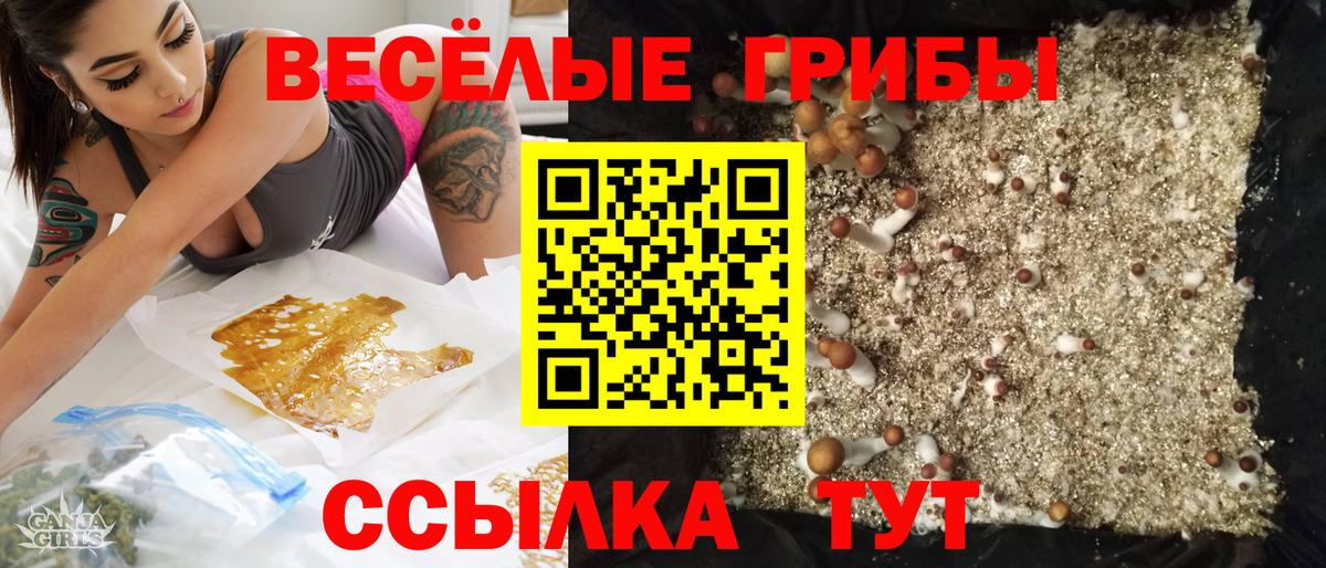 Галлюциногенные грибы ЛСД  Вход с VPN  Камышлов 