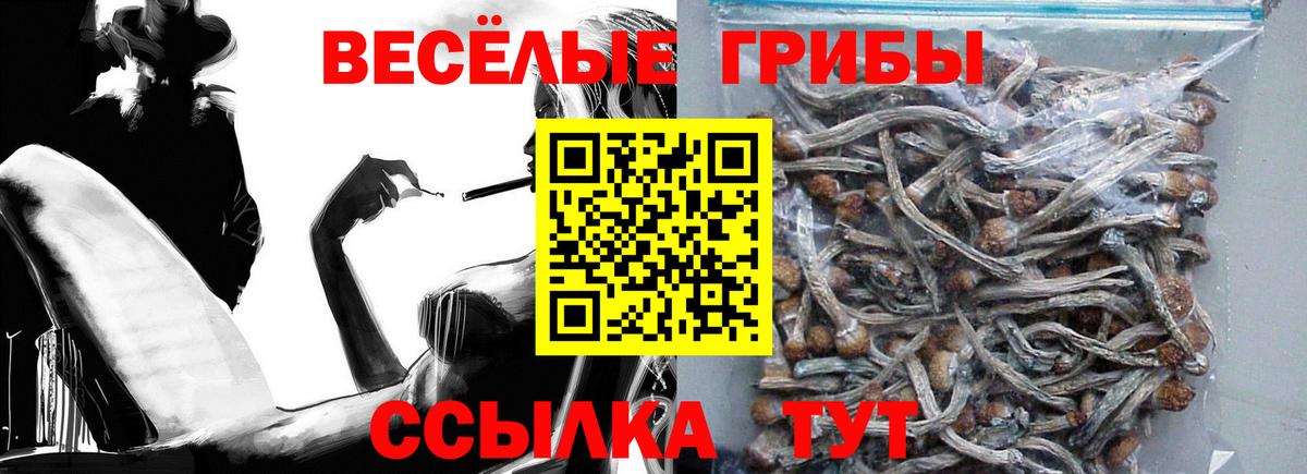 COCAIN Камышлов
